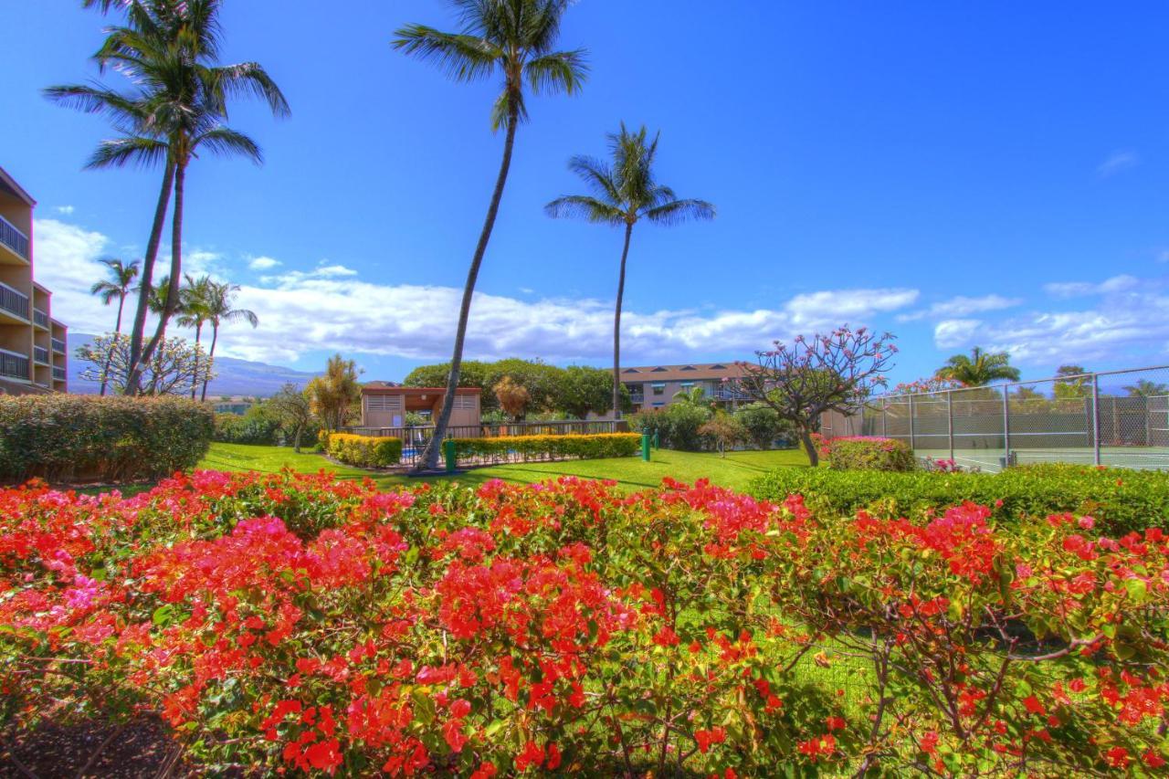 Apartament Maui Vista 3101 Kihei Zewnętrze zdjęcie